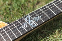 Inlay_01.jpg