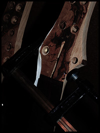 06.jpg